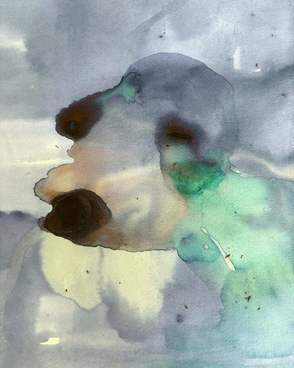 "Ser del hibisco" Acuarela y té de hibisco sobre papel, 2023